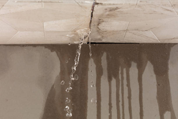 Professional Burst Pipe Cleanup technician working in Freeman, MO